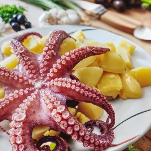 Discover the Delicious and Nutritious World of Octopus Soup Health Benefits