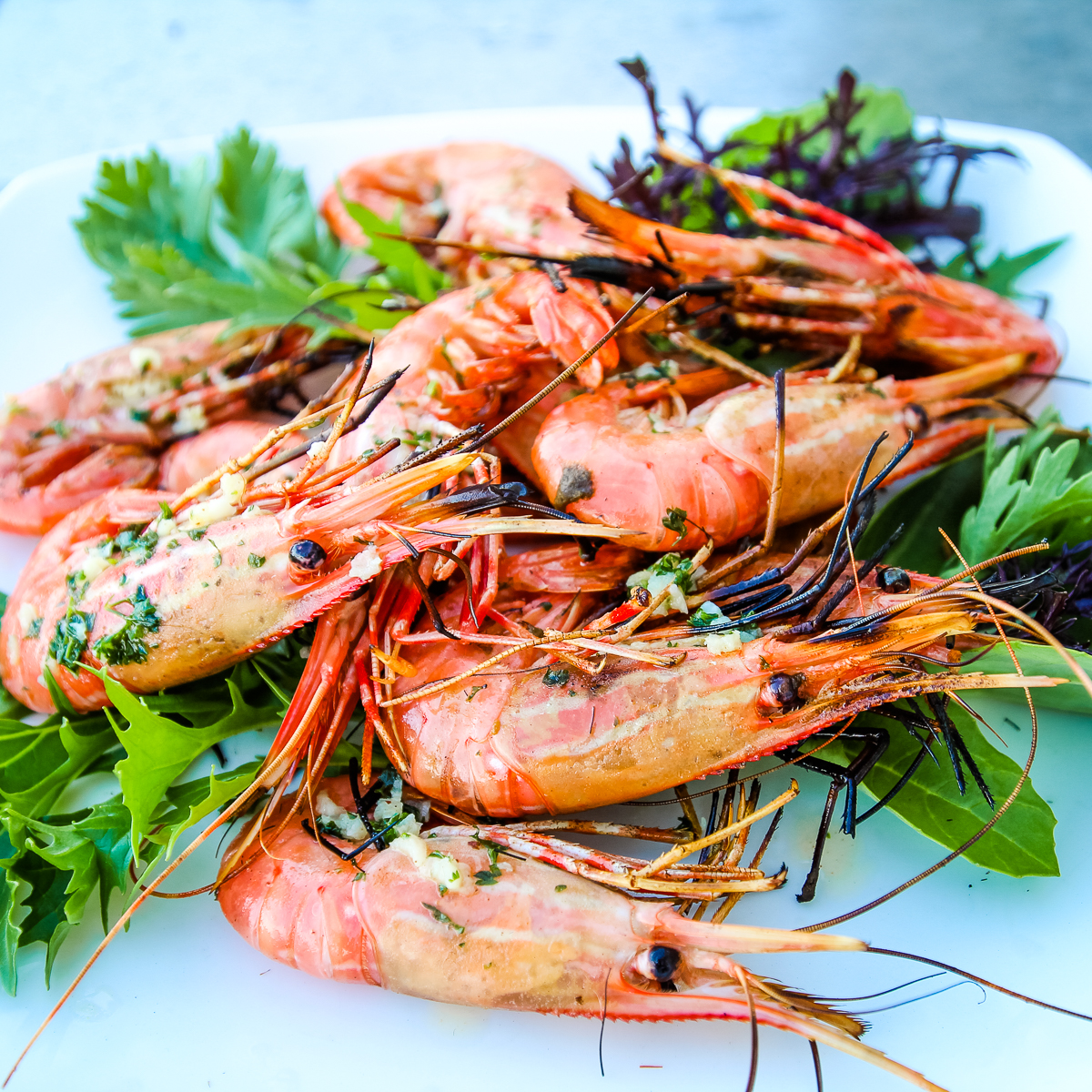 Discovering the Nutritional Value of Tiger Prawns Calories - A Comprehensive Guide