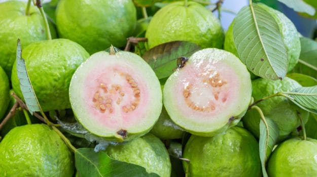 Discovering the Remarkable Benefits of Guava Leaves in Women’s Health and Wellness