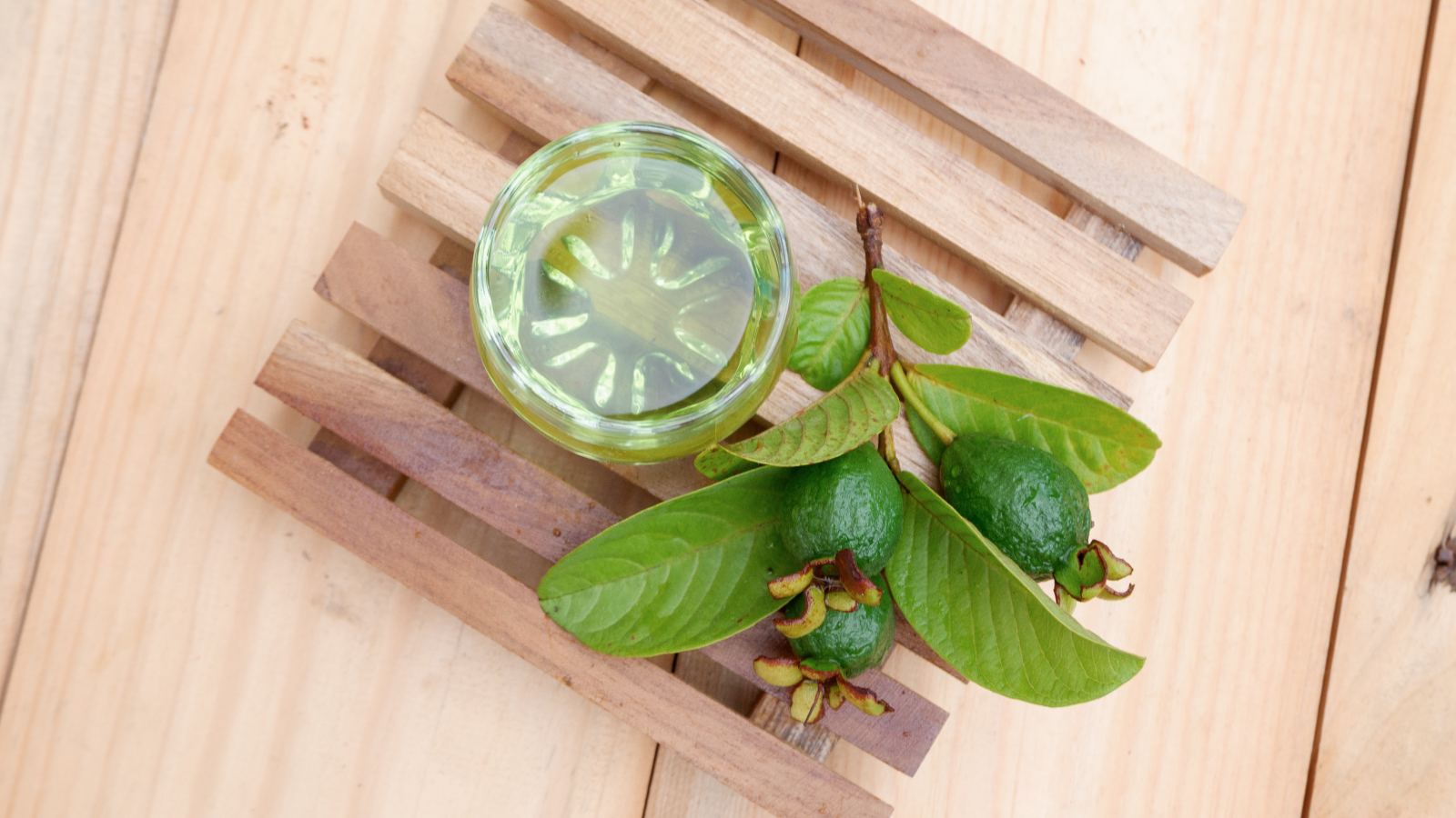 Discovering the Remarkable Benefits of Guava Leaves in Women’s Health and Wellness