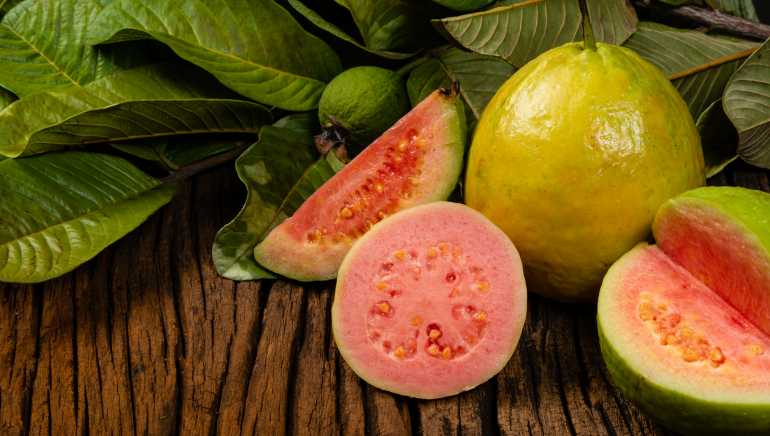 Discovering the Remarkable Benefits of Guava Leaves in Women’s Health and Wellness