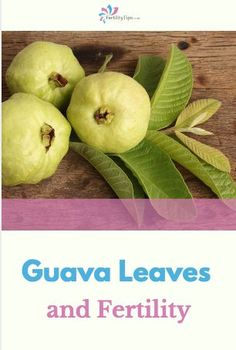 Discovering the Remarkable Benefits of Guava Leaves in Women’s Health and Wellness