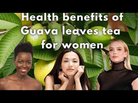 Discovering the Remarkable Benefits of Guava Leaves in Women’s Health and Wellness