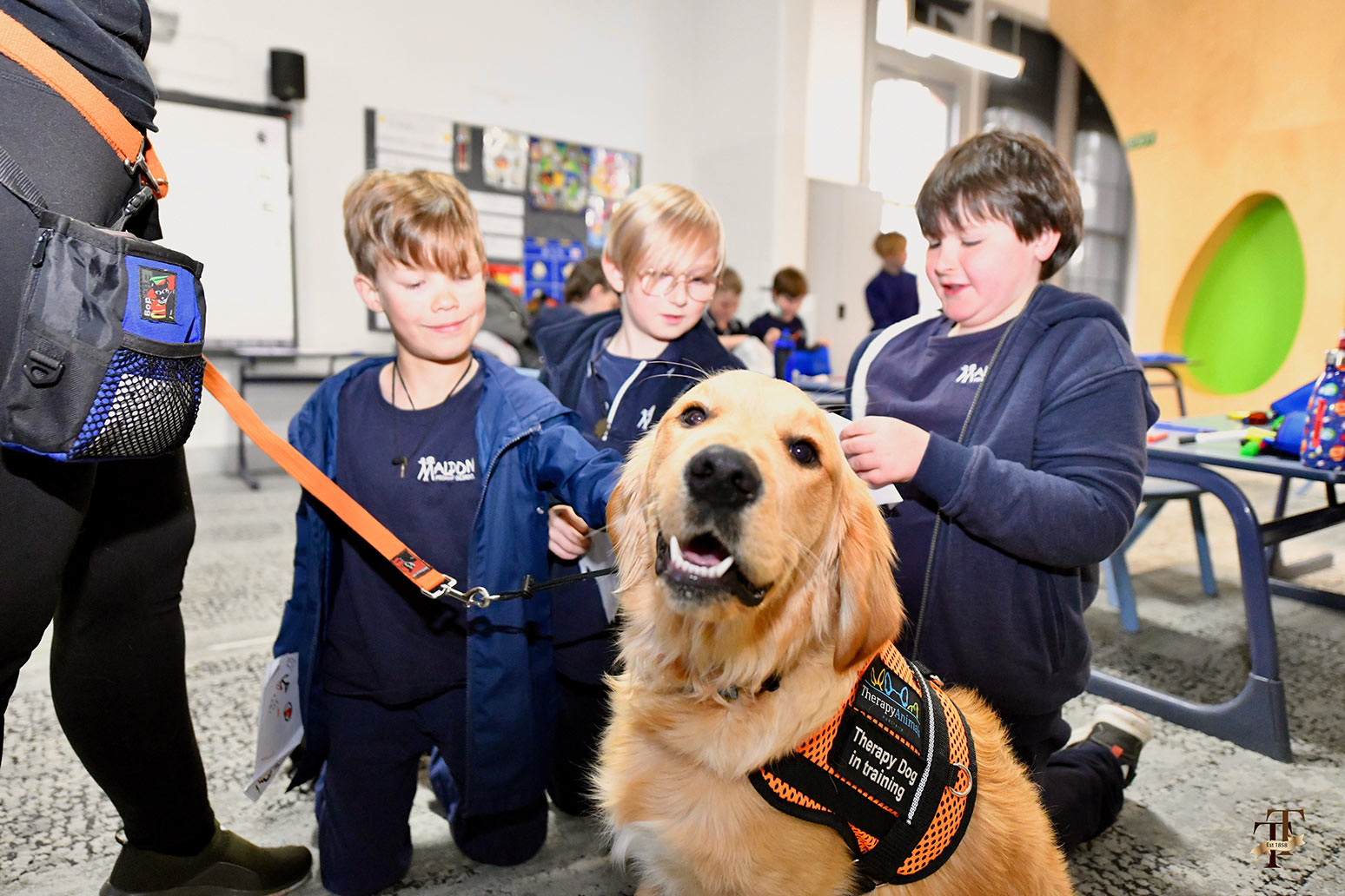 Transforming Education - The Power of Therapy Dog Programs in Schools