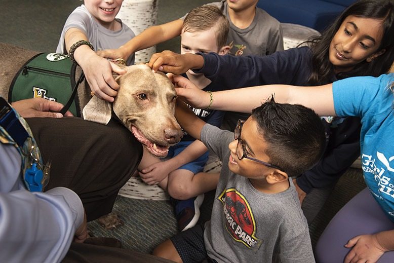 Transforming Education - The Power of Therapy Dog Programs in Schools