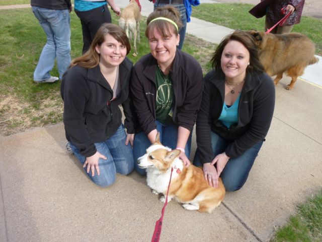 Transforming Education - The Power of Therapy Dog Programs in Schools