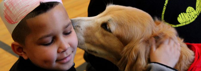 Transforming Education - The Power of Therapy Dog Programs in Schools